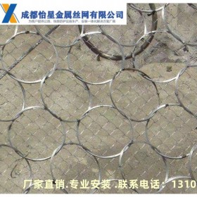 PPS-050/DB-A型被動網(wǎng) 邊坡防護(hù)網(wǎng) 金屬絲網(wǎng)
