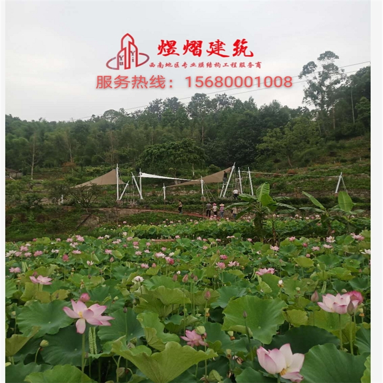 張拉膜結(jié)構 專業(yè)停車棚廠家批發(fā) 膜結(jié)構體育設施 張拉膜安裝售后一站式服務