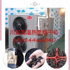 桑葚烘干機(jī)，川友桑葚烘干設(shè)備，桑葚干烘干房