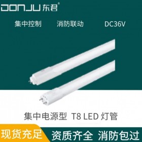 廣東東君照明應急日光燈燈管12W車庫過道DC36V集中控制集中電源獨立地址T8LED消防聯(lián)動DJ-05H