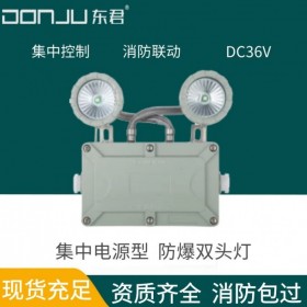 廣東東君照明 防爆雙頭燈 應急照明 壁掛 DC36V 智能聯(lián)動 IP65 集中電源 DJ-02I