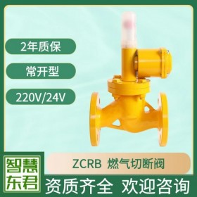 ZCRB燃?xì)饩o急切斷閥 220V防爆電磁閥天然氣管道用監(jiān)測(cè)儀器聯(lián)接 快速關(guān)閉燃?xì)饩o急關(guān)斷閥 24V防爆天然氣電磁閥