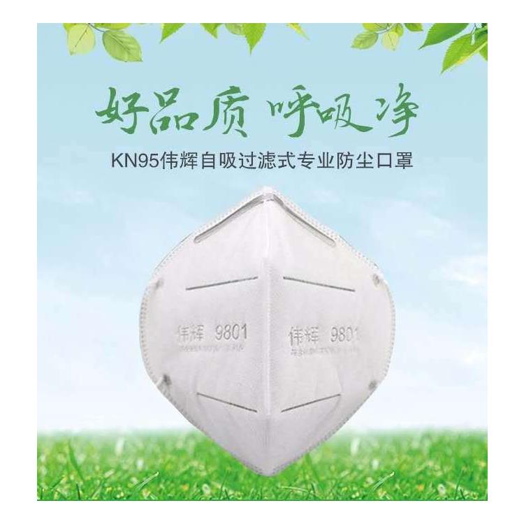 成都偉輝9801KN95口罩男女防護(hù)工業(yè)透氣防粉塵防防霧霾花粉口罩