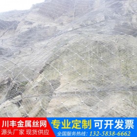 被動護欄網(wǎng) 鐵絲網(wǎng)護坡網(wǎng)不銹鋼網(wǎng)定制SNS柔性山體落石邊坡防護網(wǎng)