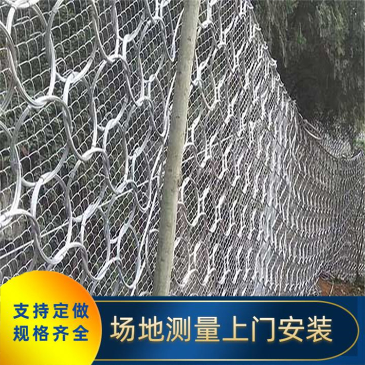山坡防護網(wǎng) 四川川豐金屬 主動防護網(wǎng) 路基邊坡防護網(wǎng) 邊坡環(huán)形主動防護網(wǎng) 鍍鋅絲護坡網(wǎng)