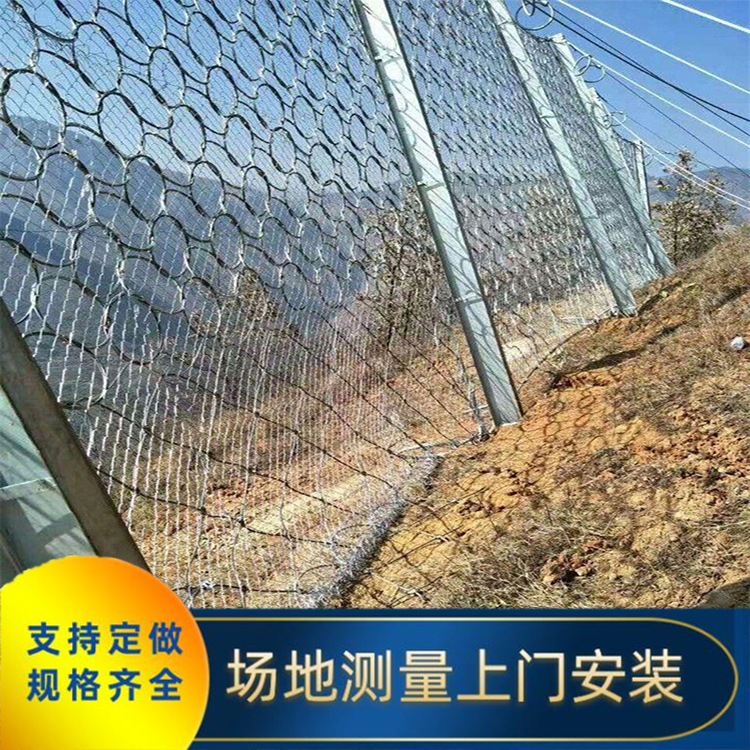 源頭廠家批發(fā)環(huán)形邊坡防護網(wǎng) 防落實蓋簾式防護網(wǎng) 廠家 四川川豐金屬