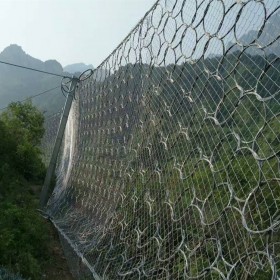 柔性邊坡防護網(wǎng) 四川川豐邊坡防護網(wǎng) 專業(yè)邊坡防護網(wǎng) 邊坡防護網(wǎng)供應(yīng)廠家