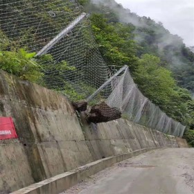公路邊坡 公路護(hù)坡 道路邊坡防護(hù) 道路邊坡防護(hù) 邊坡支護(hù)工程施工方案 四川川豐專(zhuān)業(yè)生產(chǎn)邊坡工程防護(hù)網(wǎng)