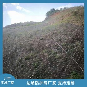 邊坡防護網(wǎng)廠家-川豐批發(fā)邊坡防護網(wǎng)-錨索邊坡防護-柔性高易鋪展性
