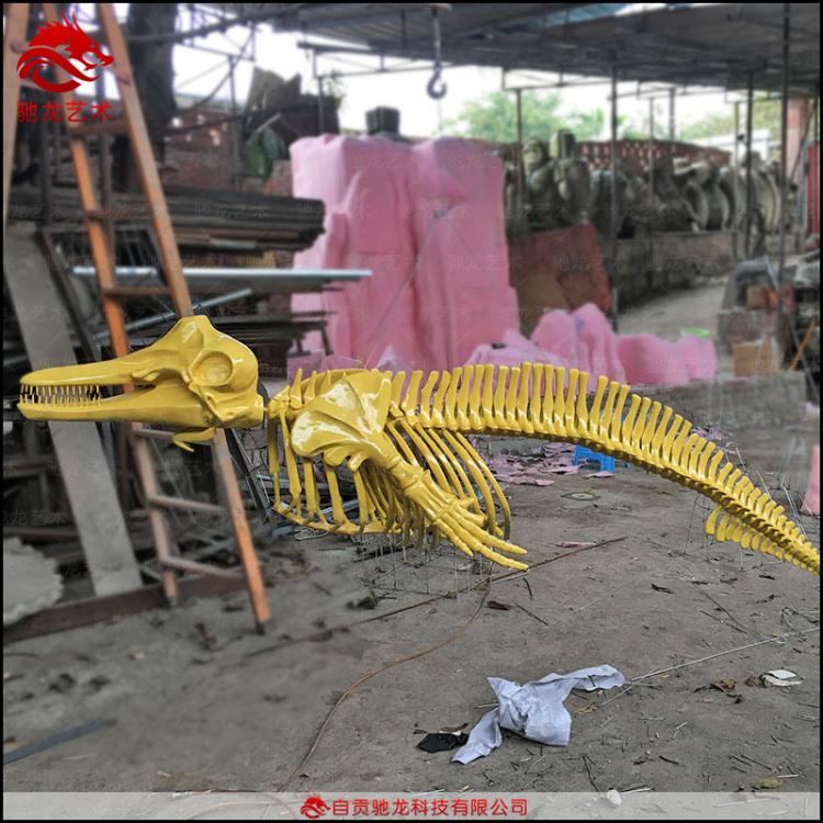 海 豚河豚鯨魚(yú)骨架化石古生物玻璃鋼化石樹(shù)脂動(dòng)物骨架標(biāo)本定做