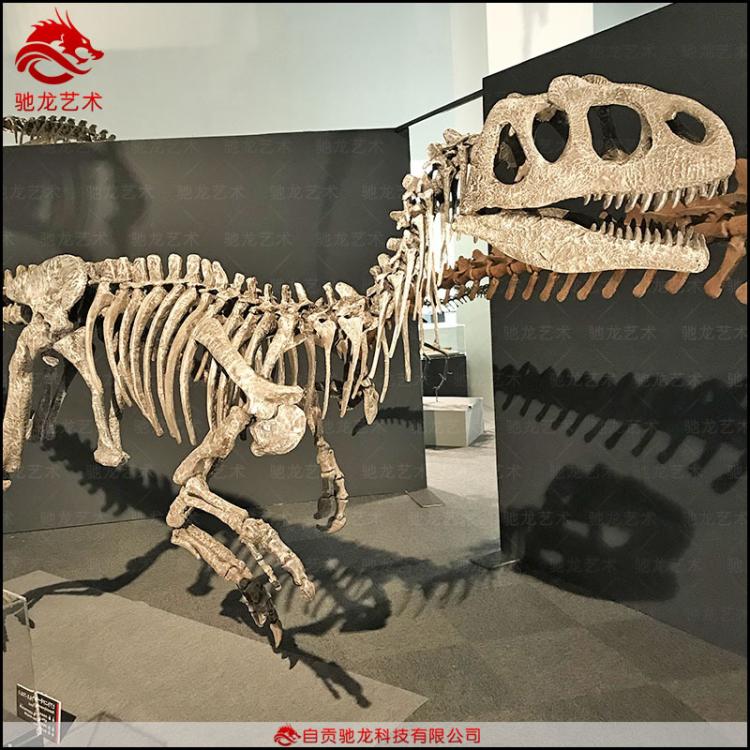 仿真單脊龍化石 長(zhǎng)6 5 4 3 2.5米恐龍玻璃鋼骨架博物館展覽骨架模型制作