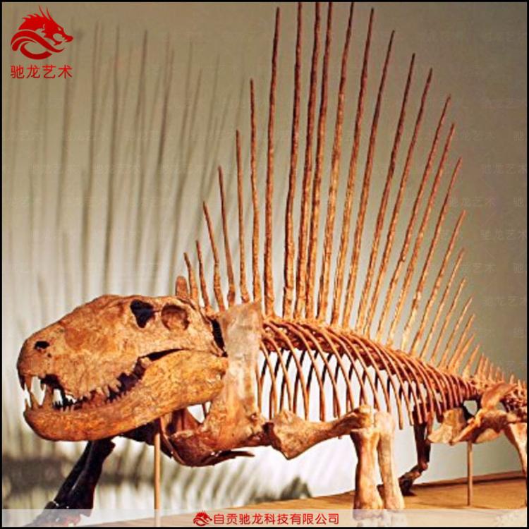 仿真異齒龍基龍骨架化石2米動(dòng)物骨架科普模型定制博物館仿真恐龍骨架公司