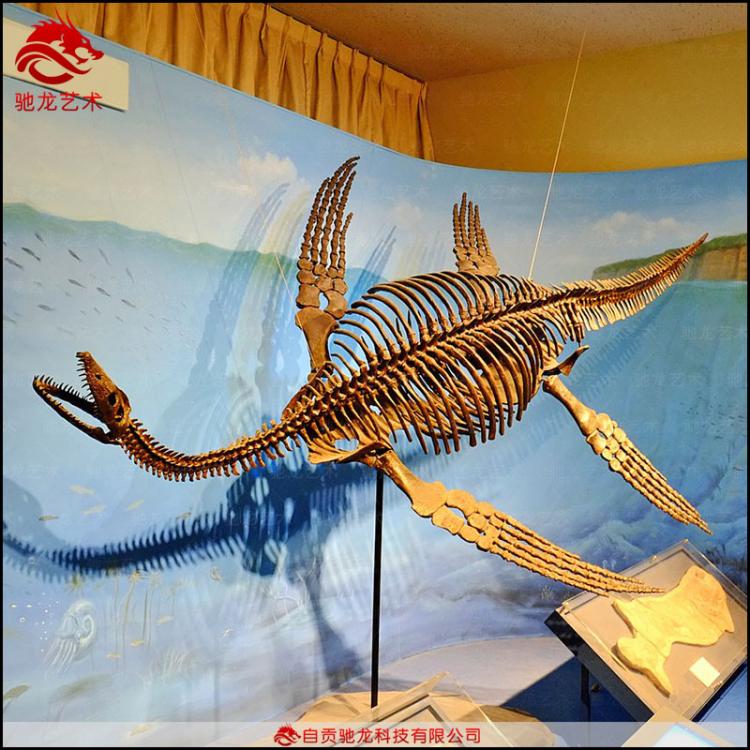 仿真蛇頸龍魚(yú)龍骨架化石5米大型古生物骨架模型定制恐龍古生物化石骨架模型廠家