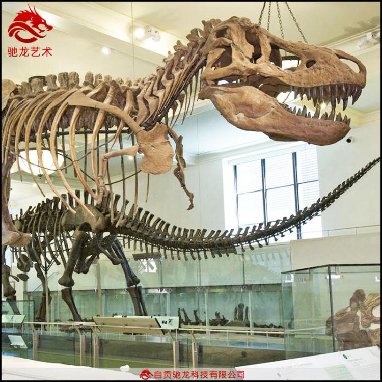 恐龍仿真骨架化石霸王龍牛龍骨架長(zhǎng)15 12 11 10 T-rex skeleton仿真恐龍骨架化石公司