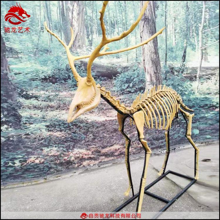 動(dòng)物骨架模型定做鹿羊馬骨架標(biāo)本仿真生物樹(shù)脂骨架模型定做
