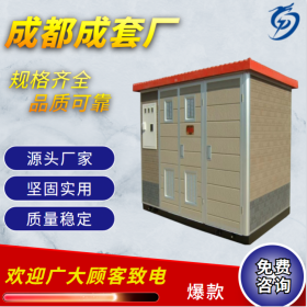 成都箱式變電站廠(chǎng)家定制 型號(hào)規(guī)格齊全 現(xiàn)貨供應(yīng)