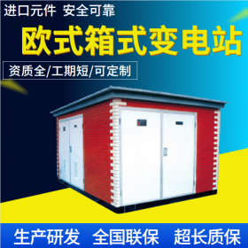 歐式箱式變電站廠家定制 型號規(guī)格齊全 可來圖定制
