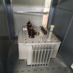 油浸式變壓器,支持定制,質(zhì)量保障,現(xiàn)場指導,免費咨詢,傳控科技