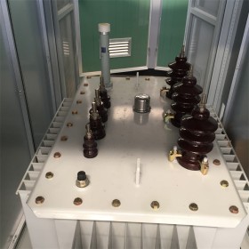 遂寧油浸式變壓器,油變生產(chǎn)廠家，電力變壓器質(zhì)量好,傳控科技