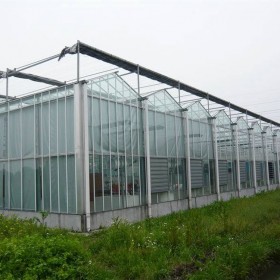 德農(nóng)川建造各種類型溫室大棚 蔬菜 農(nóng)用養(yǎng)殖大棚 防蟲遮陽 免費設計