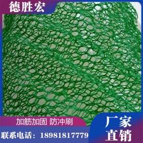 德勝宏 四川三維植被網(wǎng)廠家供應(yīng) 植草護坡三維植被網(wǎng)現(xiàn)貨售賣