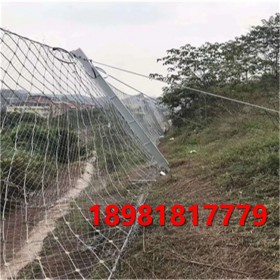 邊坡防護網(wǎng)廠家山體防落石安全網(wǎng)鋼絲繩網(wǎng)攔截網(wǎng)主動邊坡防護網(wǎng)