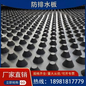 凹凸型塑料排水板車庫(kù)頂板屋頂卷排水板工地防水綠化疏水板濾水板