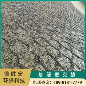 PVC加筋麥克墊 加固加筋麥克墊 防護防潮路面治理麥克墊