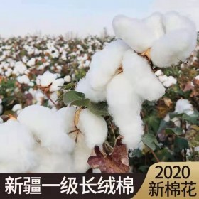 成都本地新疆棉花被 一級優(yōu)質長絨棉 手工純棉被定做 冬被全棉