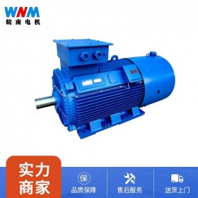 YLVF系列低壓大功率變頻電動機廠家服務(wù)