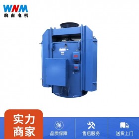 YL系列立式高壓三相交流異步電動機廠家服務(wù)