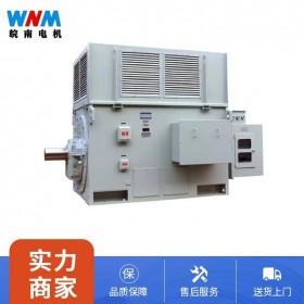 YR系列高壓三相異步電動機廠家服務(wù)