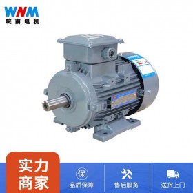 YXL系列高效率鋁機殼三相異步電動機廠家服務(wù)