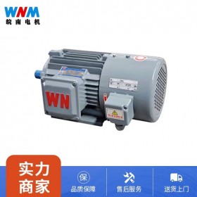 YXVF系列變頻調(diào)速電動機 廠家服務(wù) 品質(zhì)保障