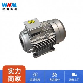 YYVF2系列新能源汽車助力轉(zhuǎn)向泵電機 廠家服務(wù) 品質(zhì)保障