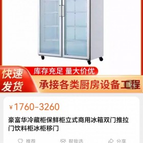 冰柜冰箱展示柜陳列柜保鮮冷藏推拉門雙開(kāi)門