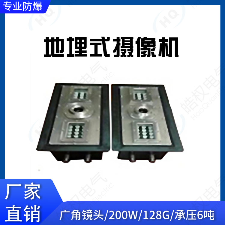 地埋式攝像機(jī) 防爆|防水|防壓|防腐蝕|防破壞 300萬(wàn)像素 攝像機(jī)廠家直銷(xiāo)