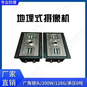 地埋式攝像機(jī) 防爆|防水|防壓|防腐蝕|防破壞 300萬像素 攝像機(jī)廠家直銷