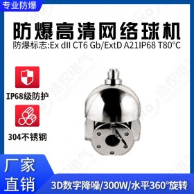 防爆紅外高清網(wǎng)絡(luò)球機(jī) 防爆球機(jī)攝像頭 高清網(wǎng)絡(luò)球機(jī)廠家 紅外高清球機(jī)批發(fā)價格 300萬像素