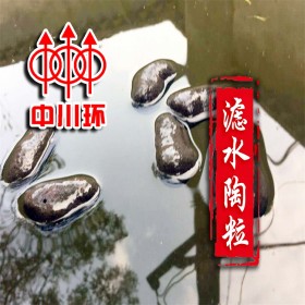 濾水陶粒 輕質高強環(huán)保建筑回填陶粒生產基地 量大從優(yōu)