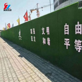 專(zhuān)業(yè)生產(chǎn)人造草坪幼兒園裝飾景觀草坪公園小區(qū)園林綠化球場(chǎng)圍擋專(zhuān)用