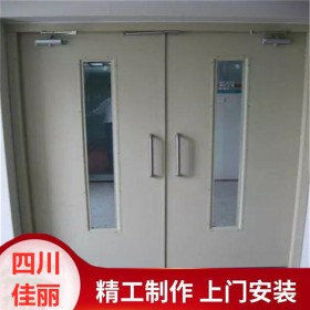 佳麗門窗鋼制防火門 隔熱防火門 鋼質(zhì)抗爆甲級防火門 品質(zhì)保證