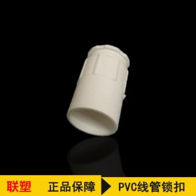 聯(lián)塑PVC線管鎖扣 排水管配件PVC線管鎖扣 聯(lián)塑四川一級(jí)代理商