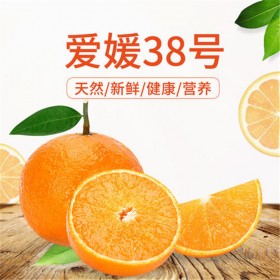 愛媛38號苗  四川柑橘苗批發(fā)基地 柑橘果苗基地  愛媛38號苗供應 愛媛38號果凍苗批發(fā)價格