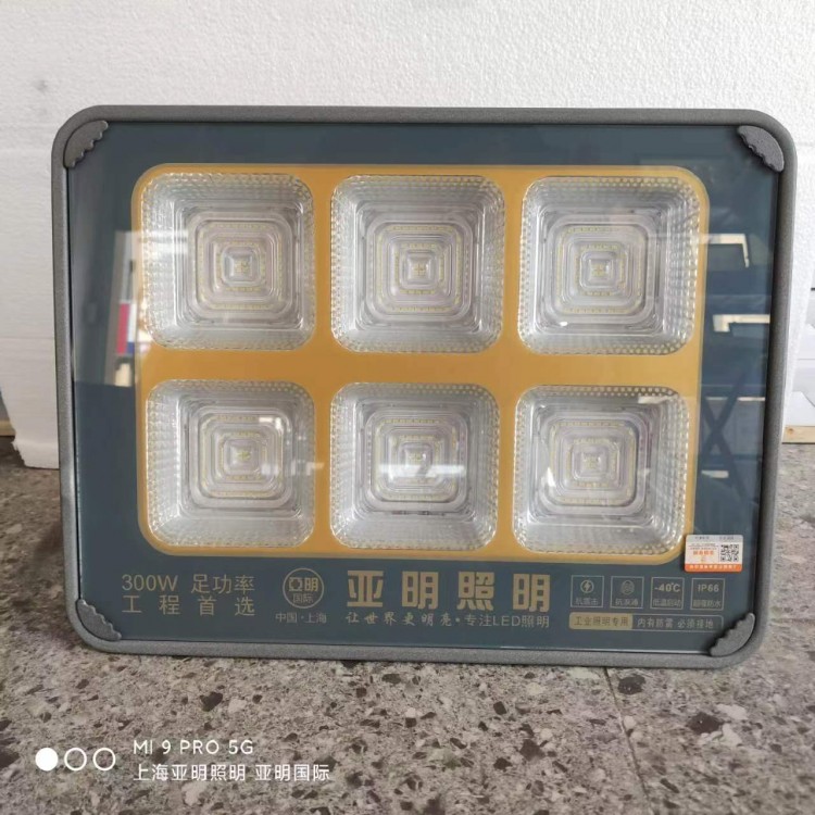 LED工業(yè)防爆燈投光燈 適用于爆炸性氣體環(huán)境 定制
