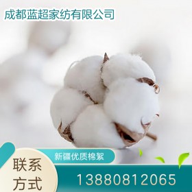棉被批發(fā) 無網(wǎng)棉胎 新疆棉花定制 歡迎訂購(gòu)