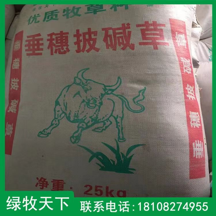 馬蹄金價格