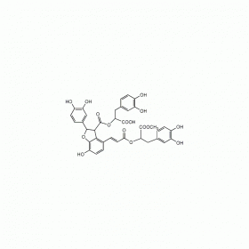 【樂美天】9’-丹酚酸B單甲酯 （9-Methyl?salvianolate B） | CAS No：1167424-31-8 HPLC≥98% 20mg/支 中藥對照品 標(biāo)準(zhǔn)