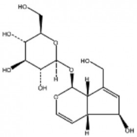 【樂美天】桃葉珊瑚苷  CAS：479-98-1  HPLC≥98%  20mg/支 中藥對(duì)照品/標(biāo)準(zhǔn)品