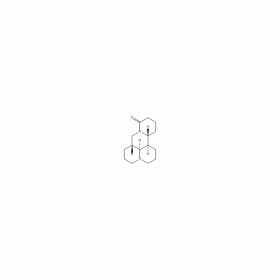 【樂(lè)美天】槐定堿  CAS No：6882-68-4  HPLC≥98%   20mg/支 分析標(biāo)準(zhǔn)品/對(duì)照品